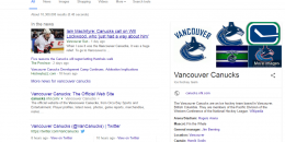 Google Separating First Search Results for Well Known Entities