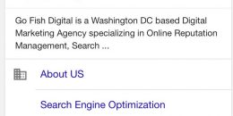 Google Testing Icons on Mobile Sitelinks