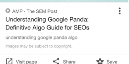 AMP Comes to Google Image Search But Not Images in Regular Results