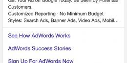 Google AdWords Testing Outlined Ads Tag in Search Results